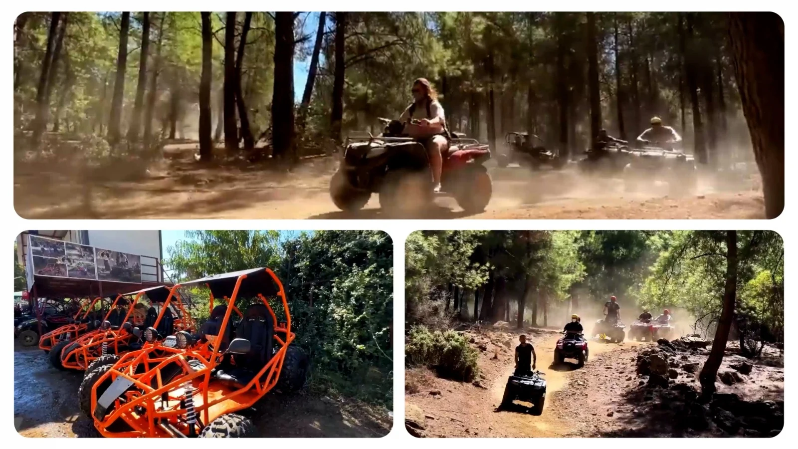 Buggy Safari